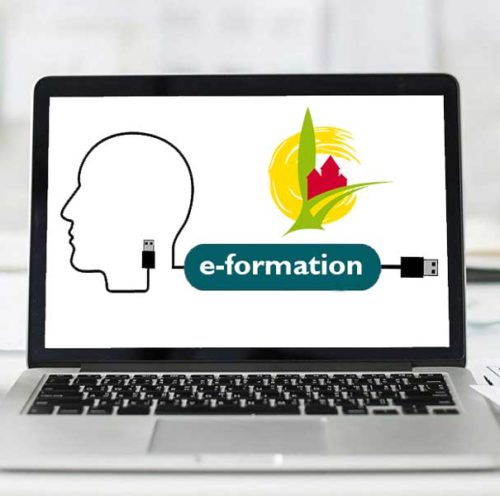 Formation en ligne : une première