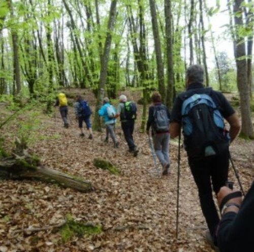 Formation animateur rando-promenade